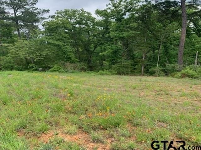 120.68 acres in Smith County - photo 15