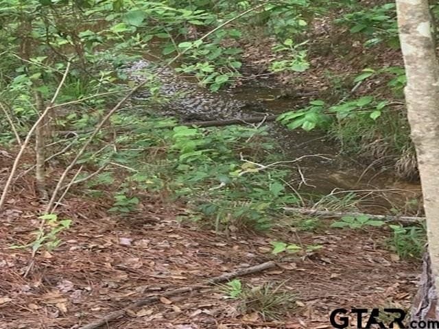 120.68 acres in Smith County - photo 11