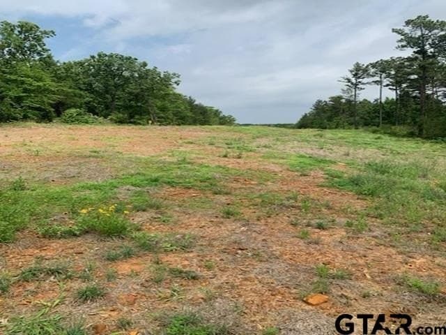 120.68 acres in Smith County - photo 17