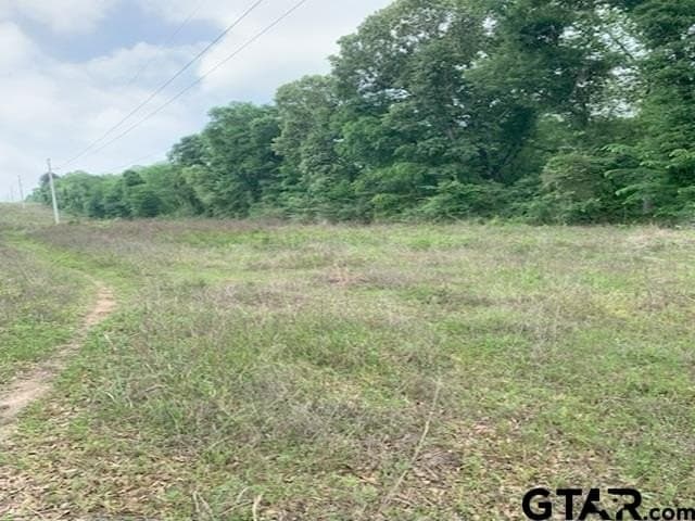 120.68 acres in Smith County - photo 9