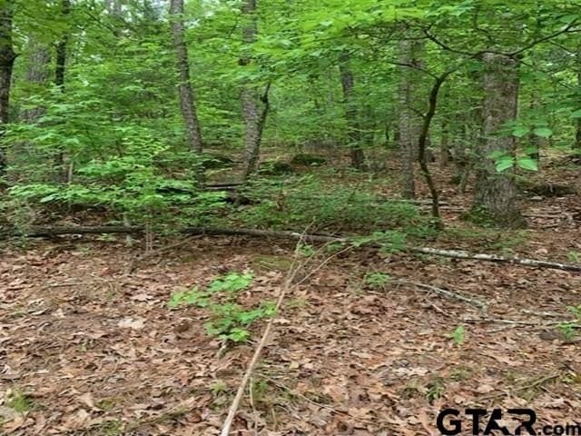 120.68 acres in Smith County - photo 12
