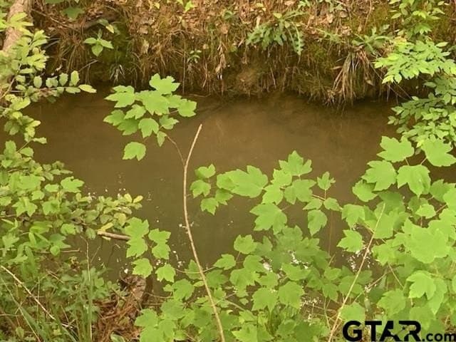 120.68 acres in Smith County - photo 10