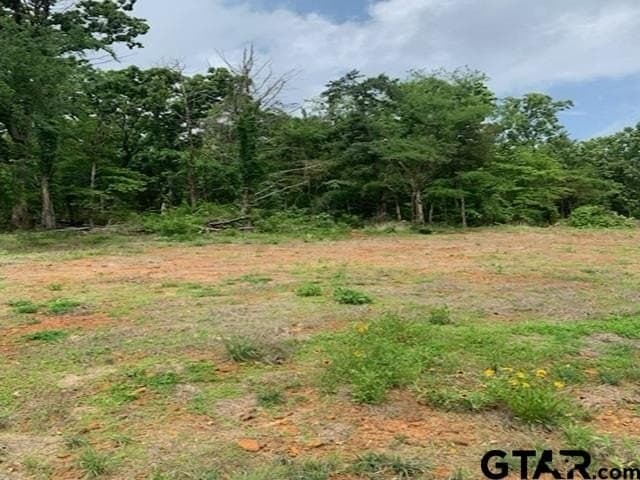 120.68 acres in Smith County - photo 16