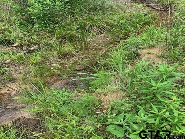 120.68 acres in Smith County - photo 6