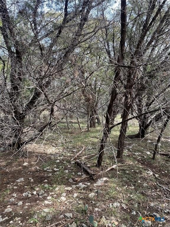 0.35 acres in Bell County gallery image 3