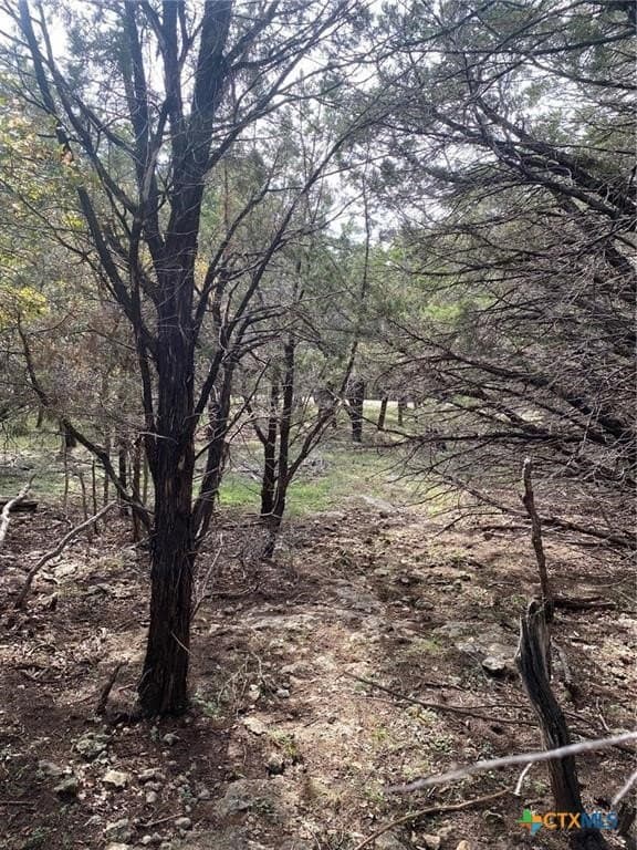 0.35 acres in Bell County featured view
