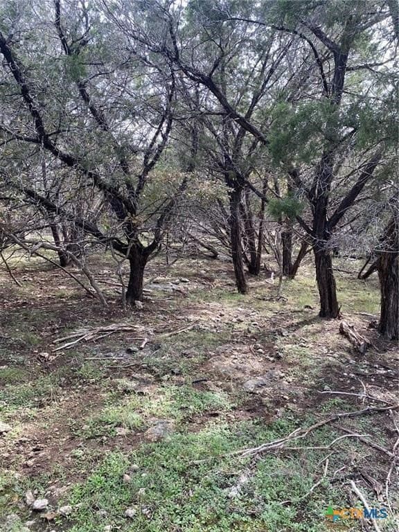 0.35 acres in Bell County gallery image 4