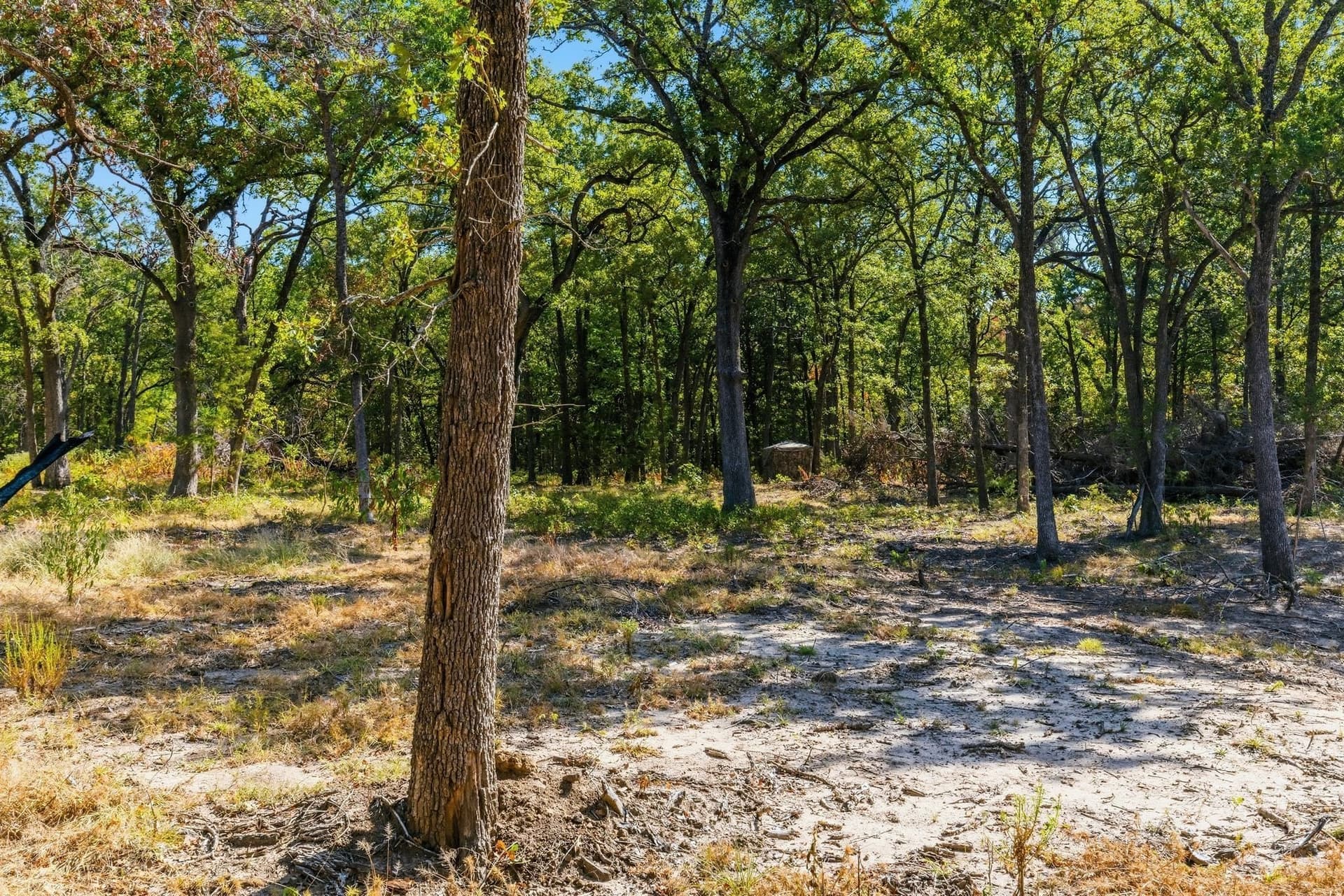 11.15 acres in Hunt County - photo 34
