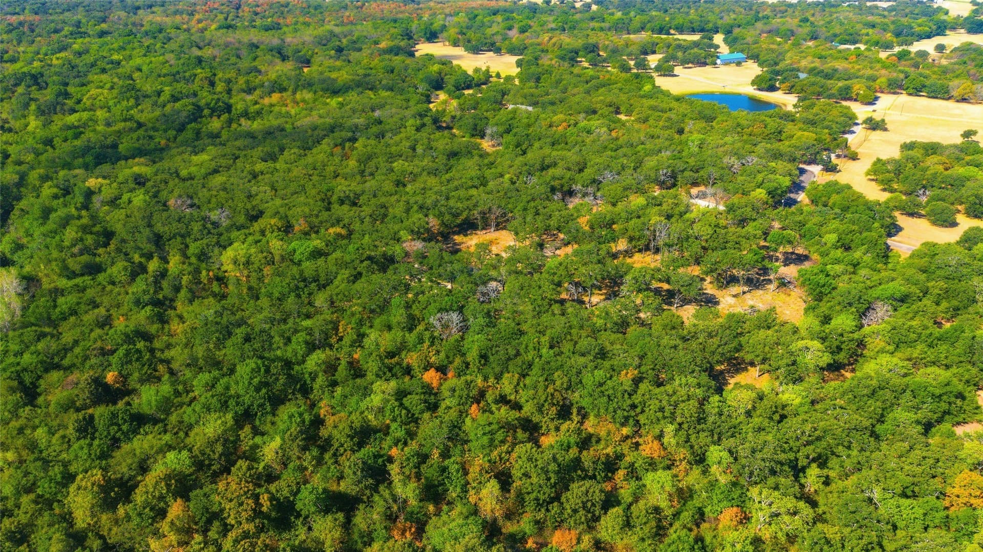 11.15 acres in Hunt County - photo 37