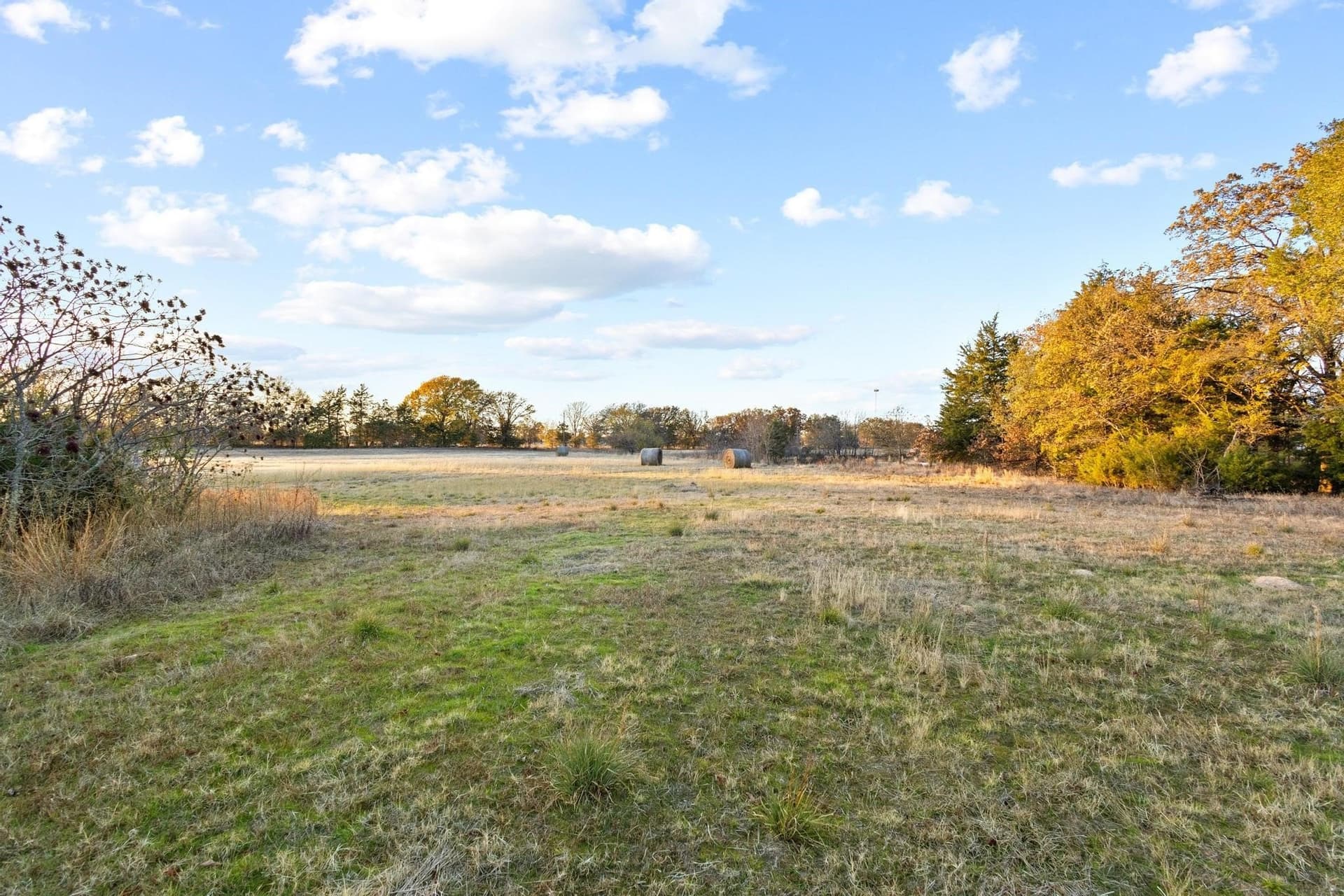 46.1 acres in Fannin County - photo 39