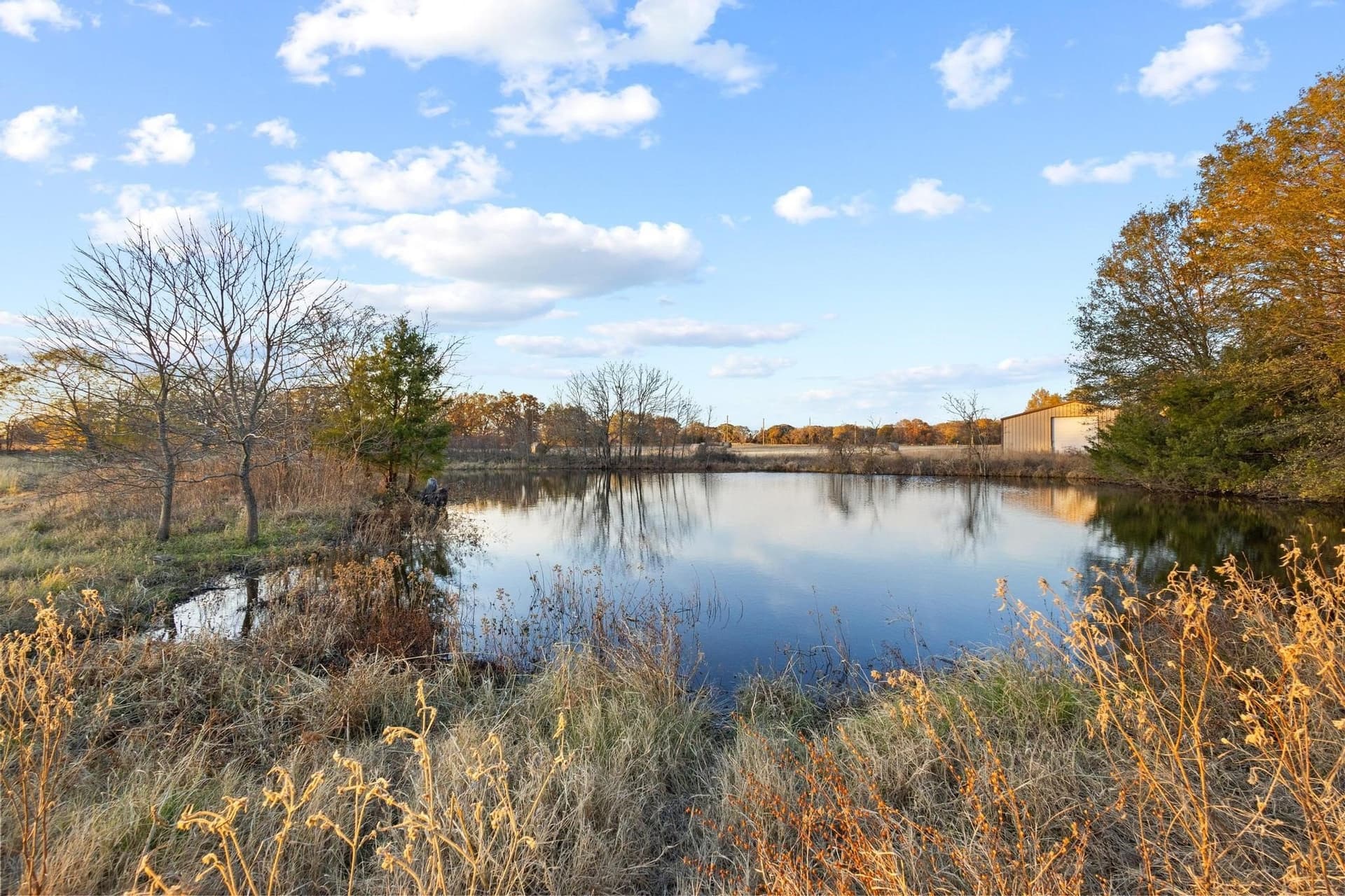 46.1 acres in Fannin County - photo 4