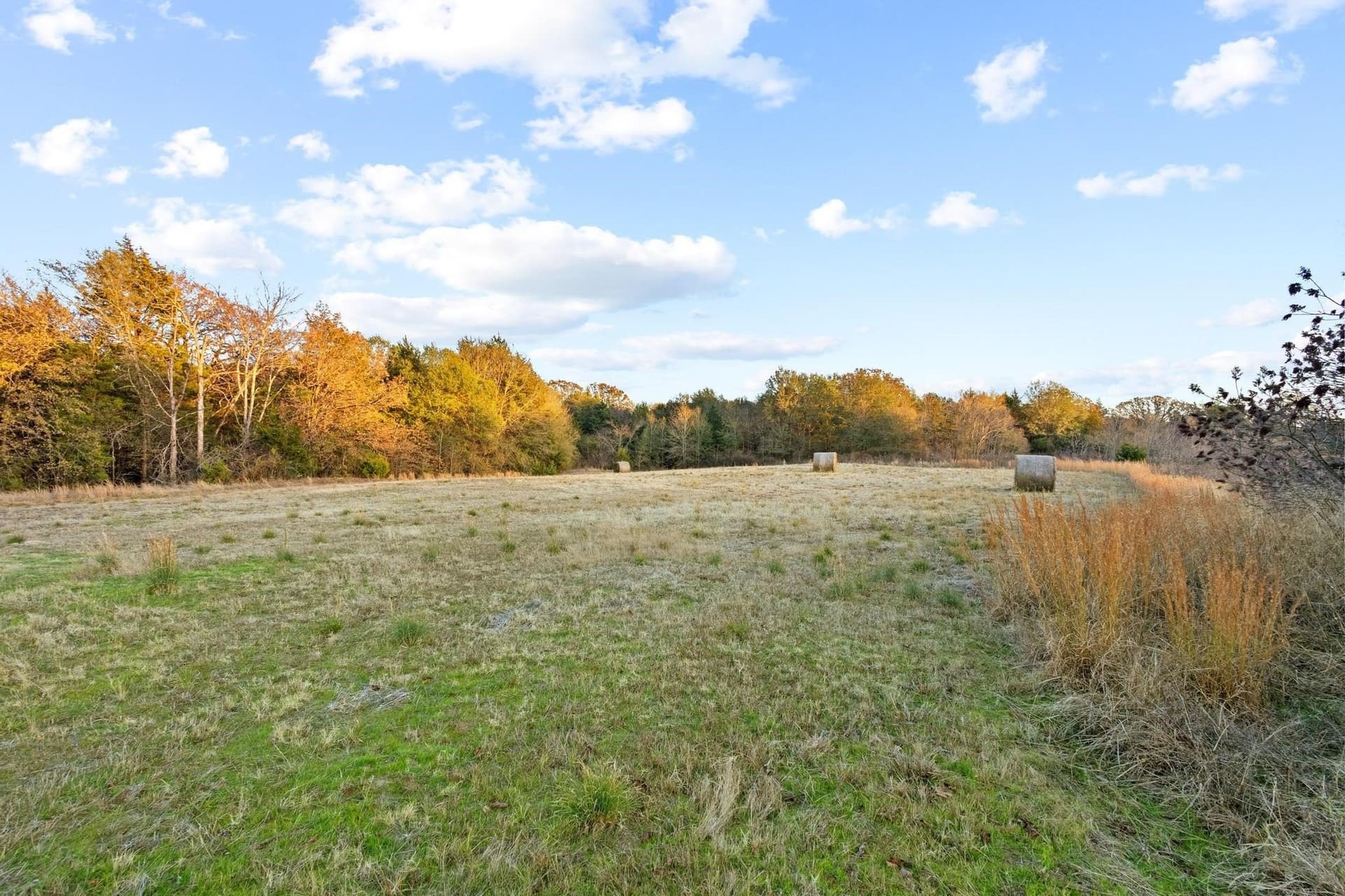 46.1 acres in Fannin County - photo 38