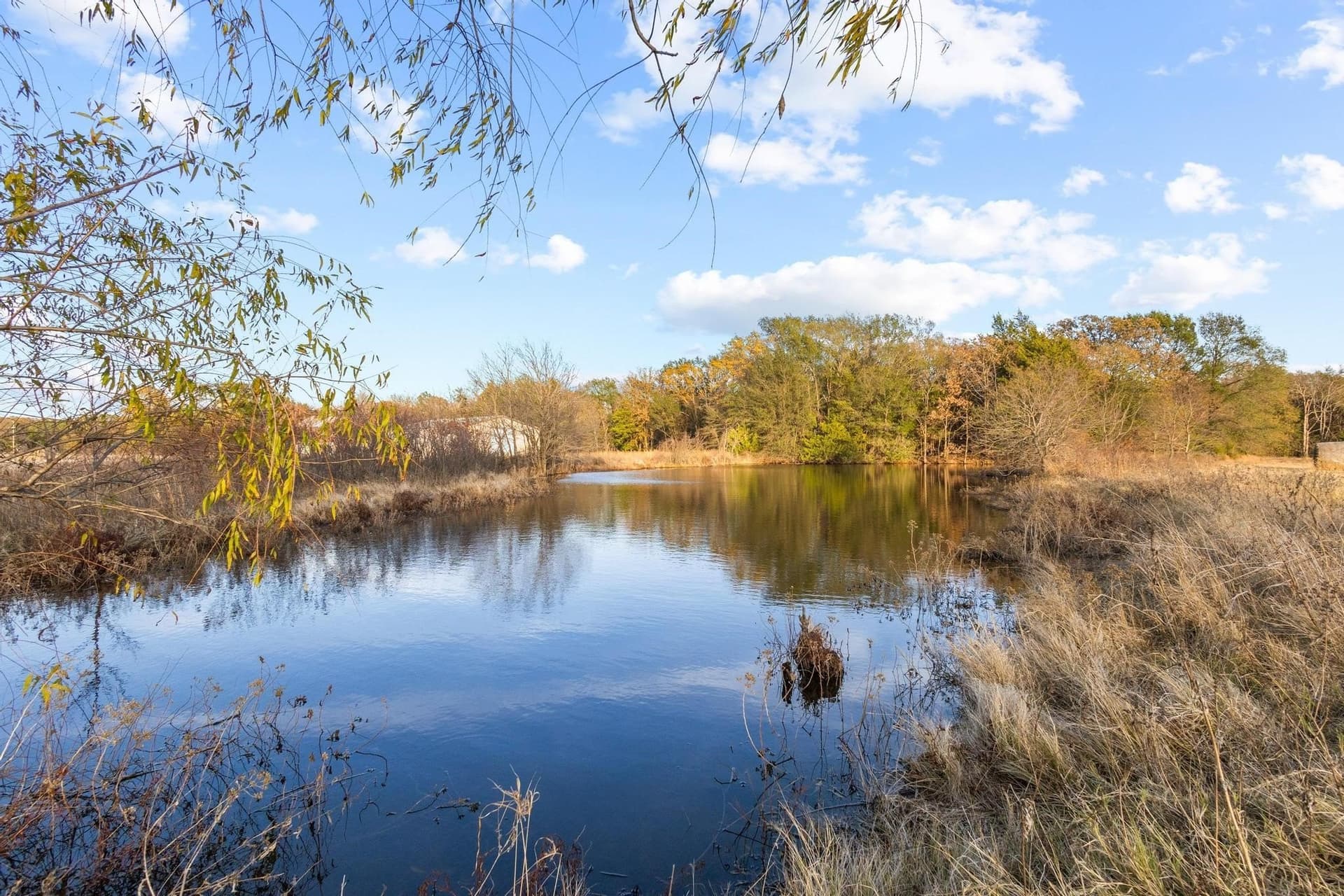 46.1 acres in Fannin County - photo 37