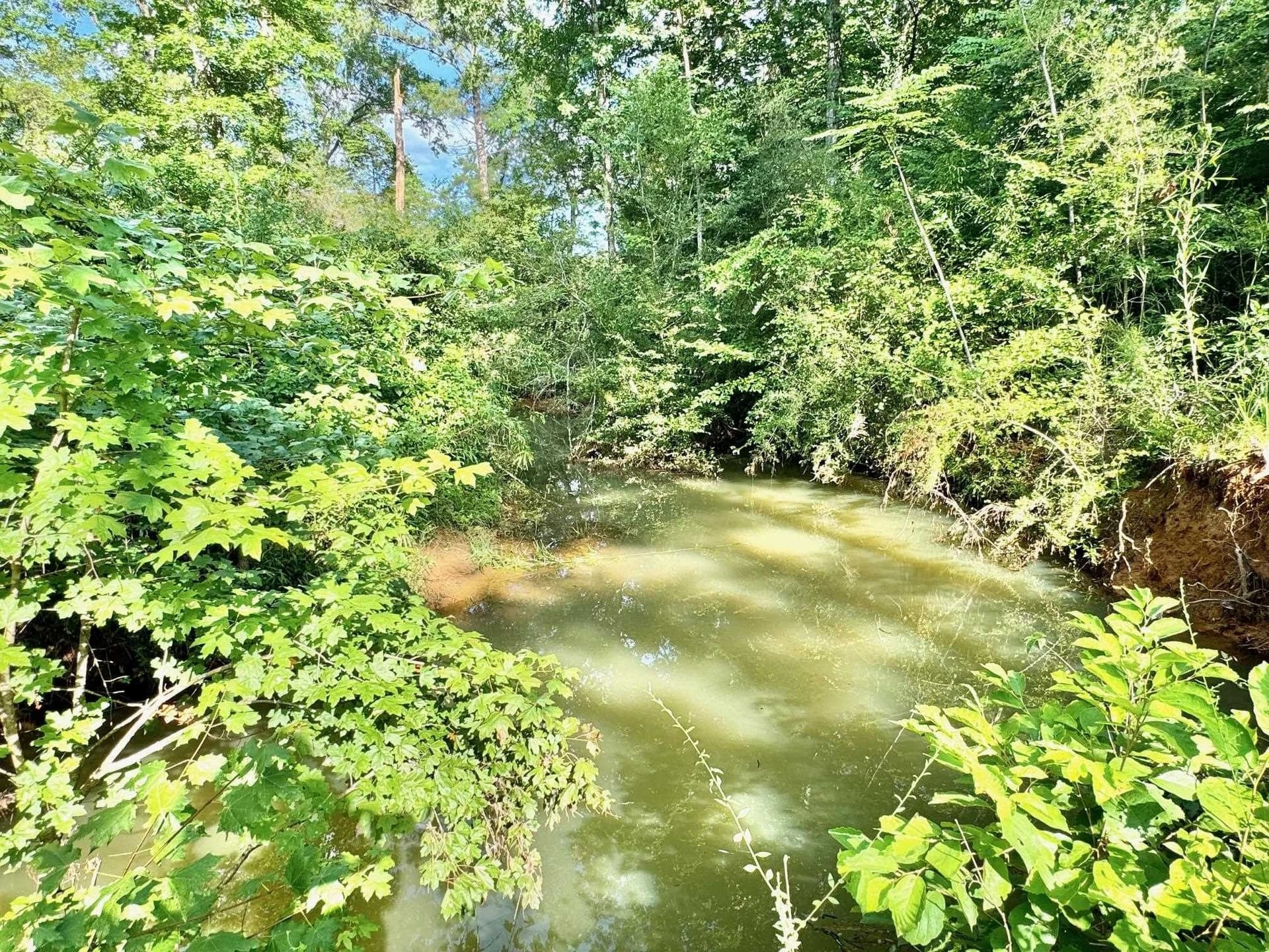 0.94 acres in Texas County - photo 3