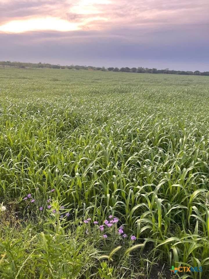 10.09 acres in Coryell County