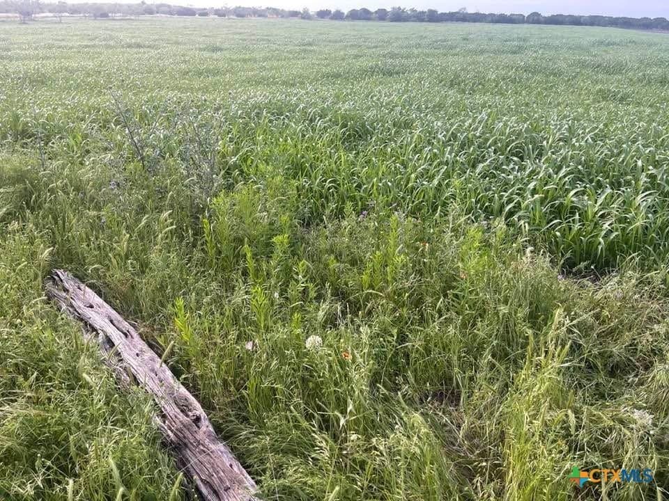 10.09 acres in Coryell County - photo 2
