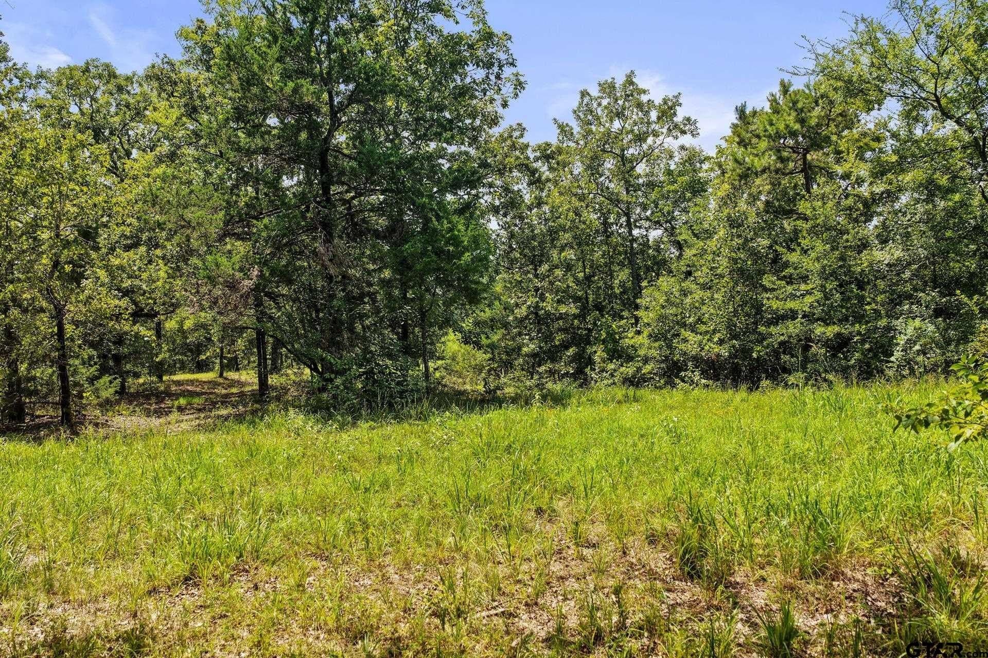 67.5 acres in Titus County - photo 6