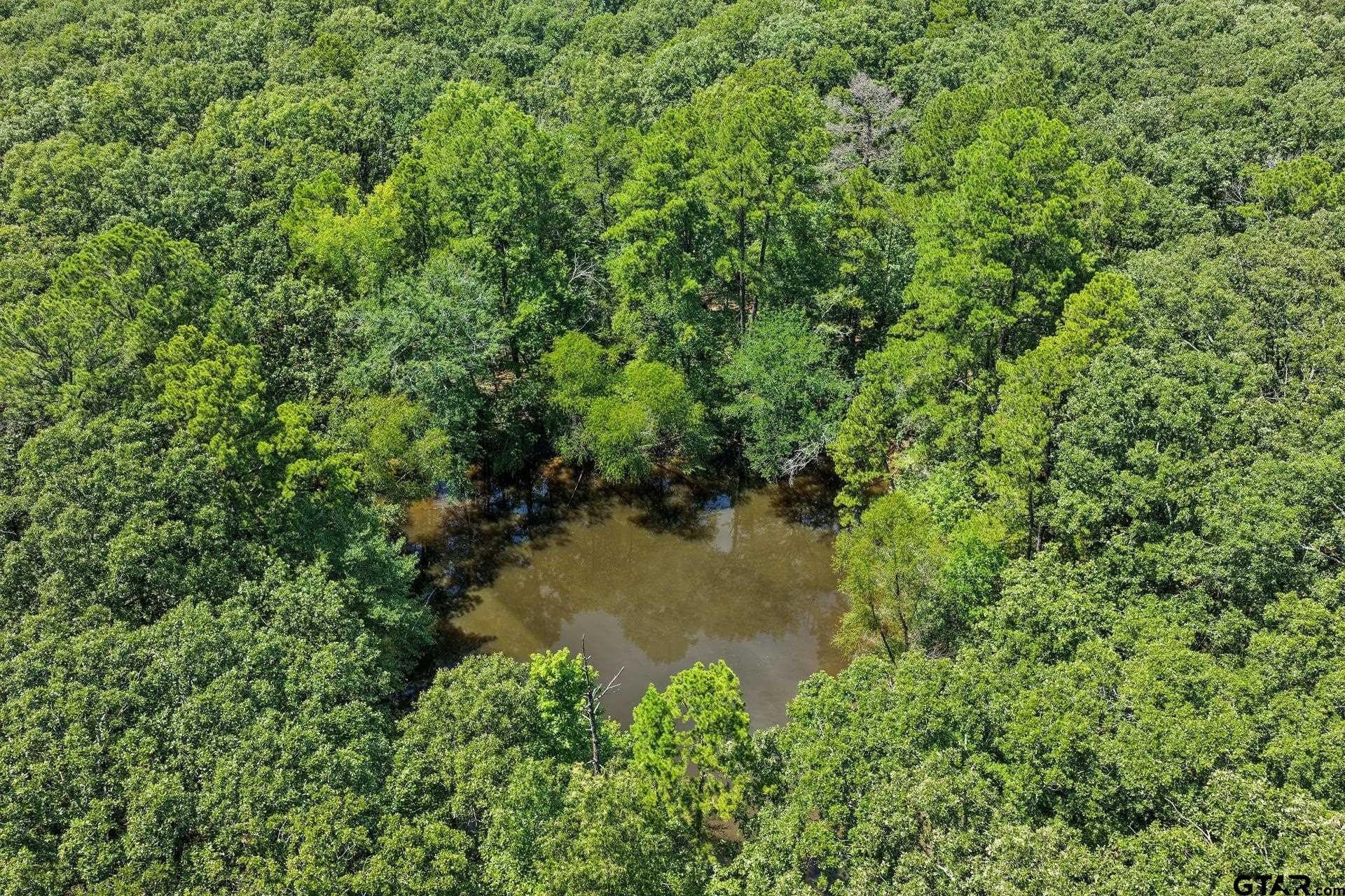 67.5 acres in Titus County gallery image 4