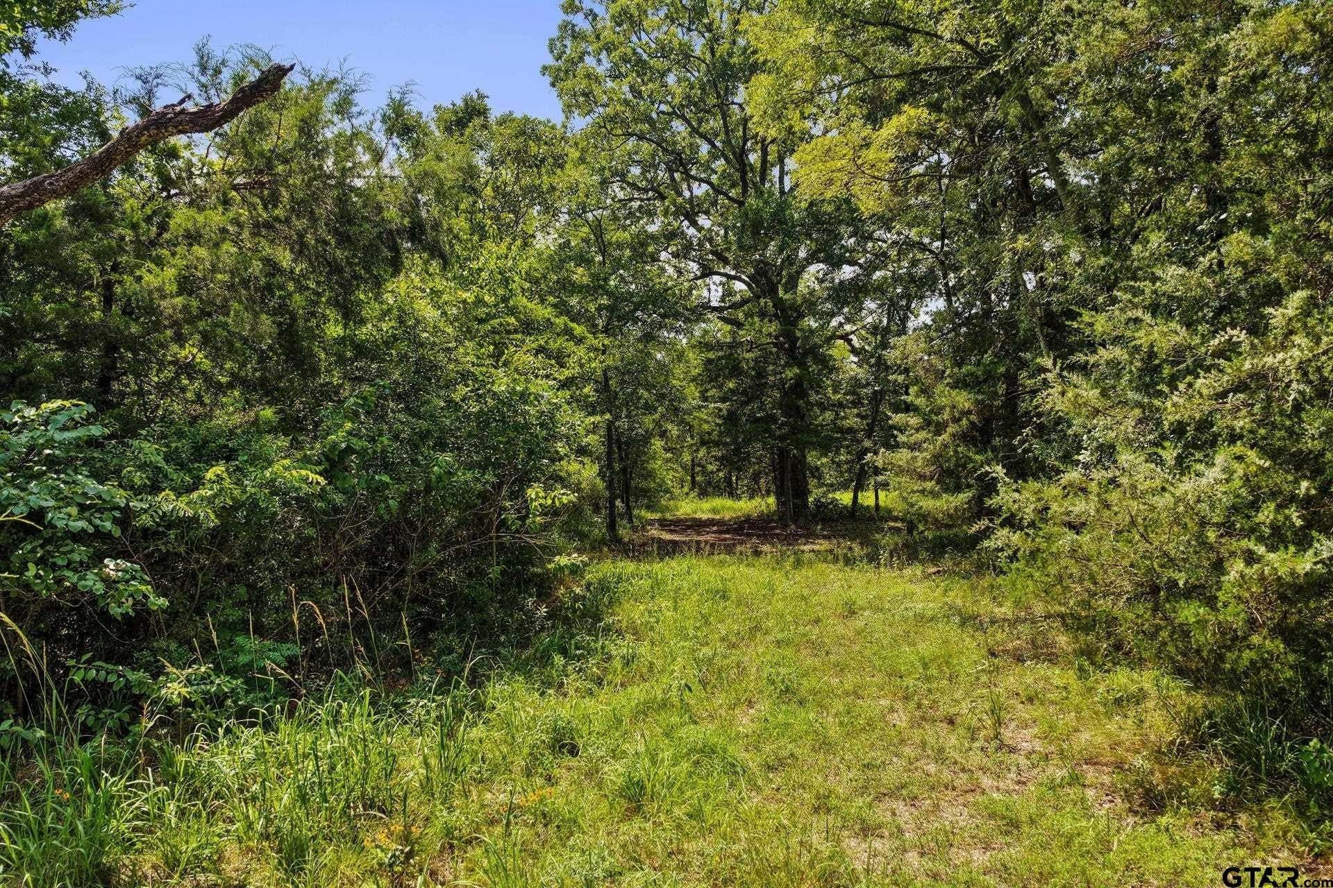 67.5 acres in Titus County - photo 5
