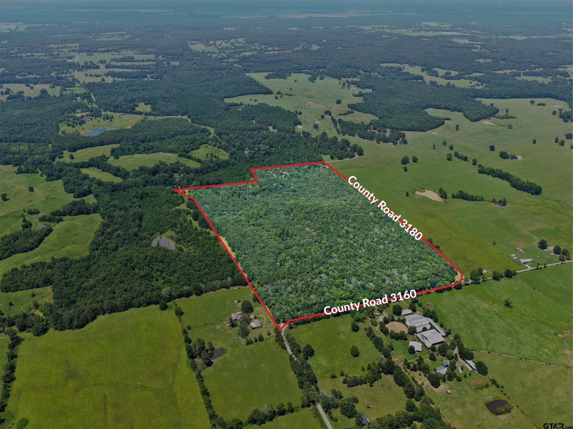 67.5 acres in Titus County gallery image 2