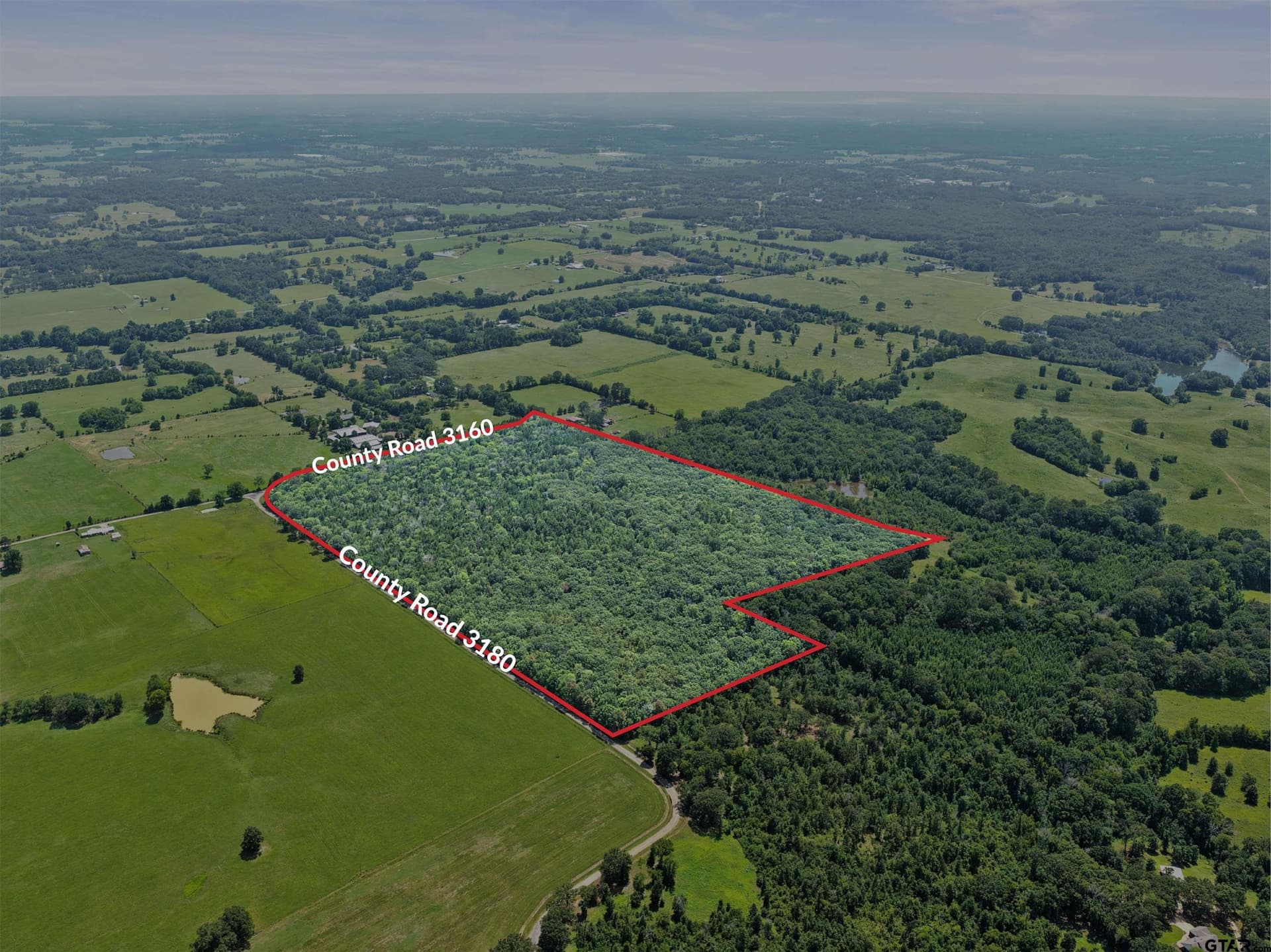 67.5 acres in Titus County gallery image 3