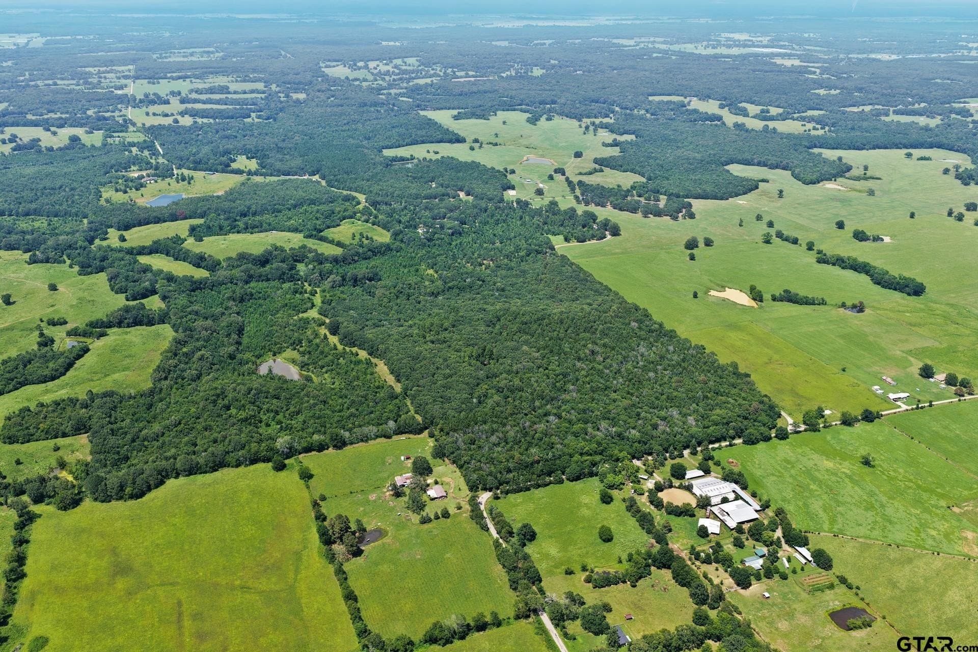 67.5 acres in Titus County - photo 7