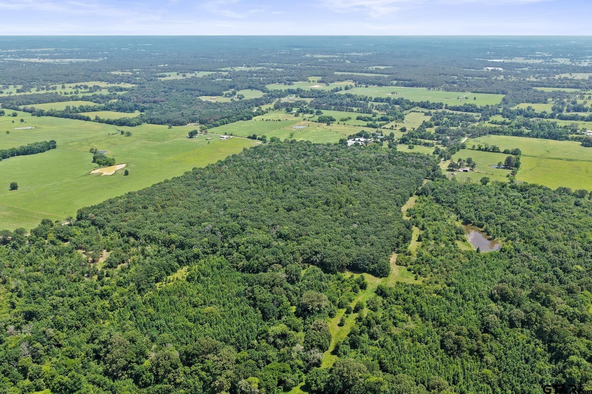 67.5 acres in Titus County featured view