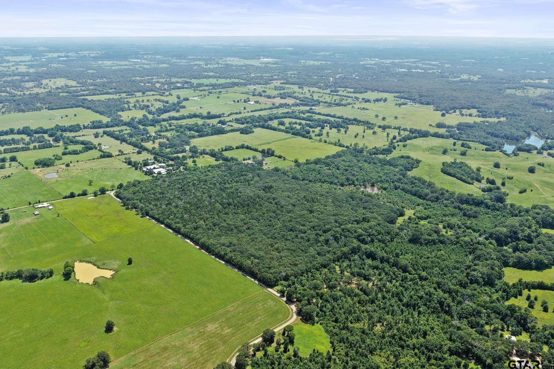 67.5 acres in Titus County - photo 8