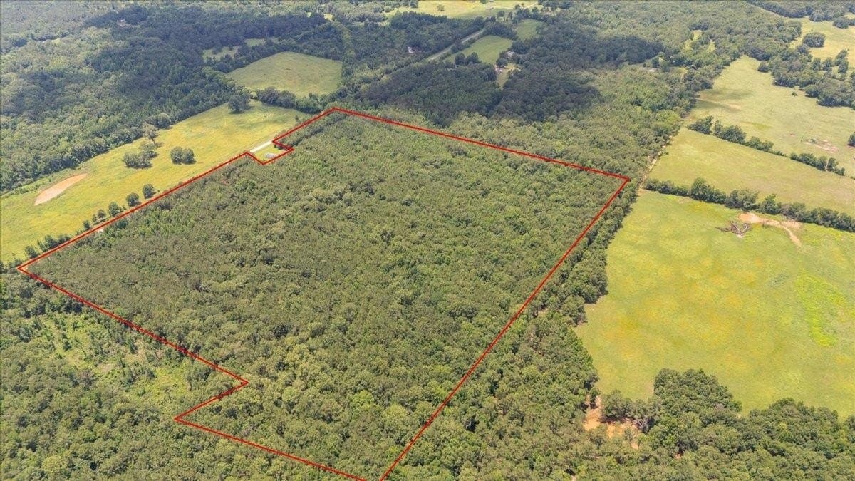 50.8 acres in Rusk County gallery image 3
