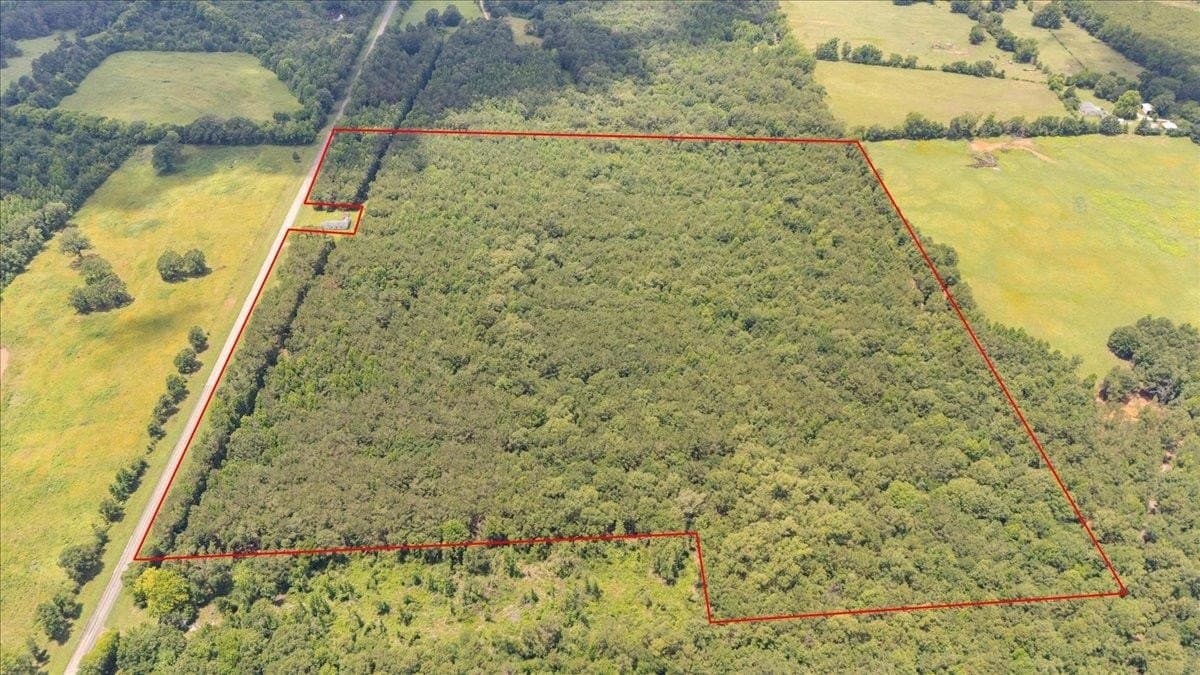 50.8 acres in Rusk County gallery image 2