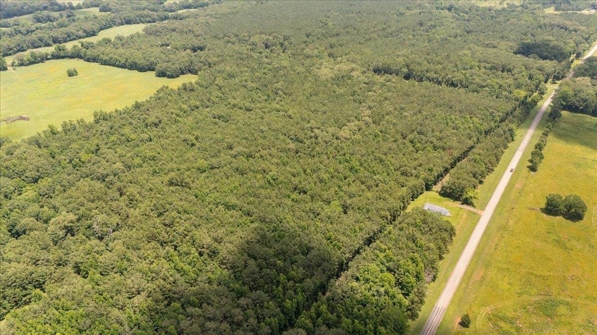 50.8 acres in Rusk County gallery image 4