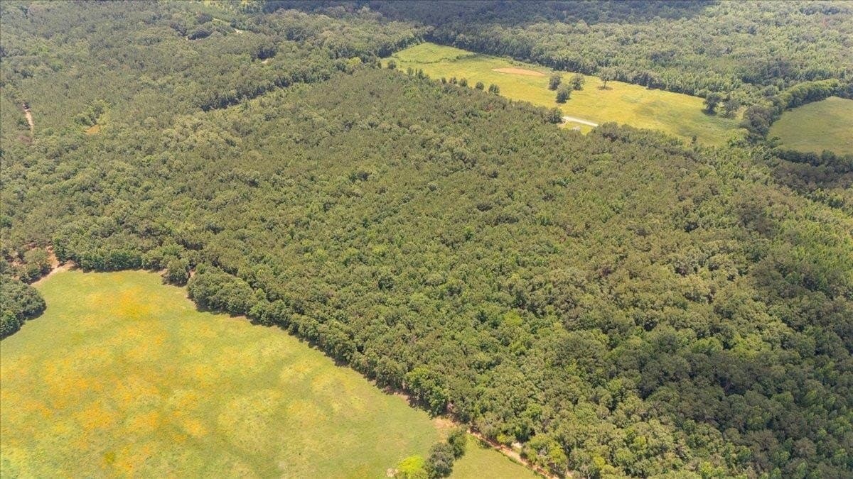 50.8 acres in Rusk County - photo 6