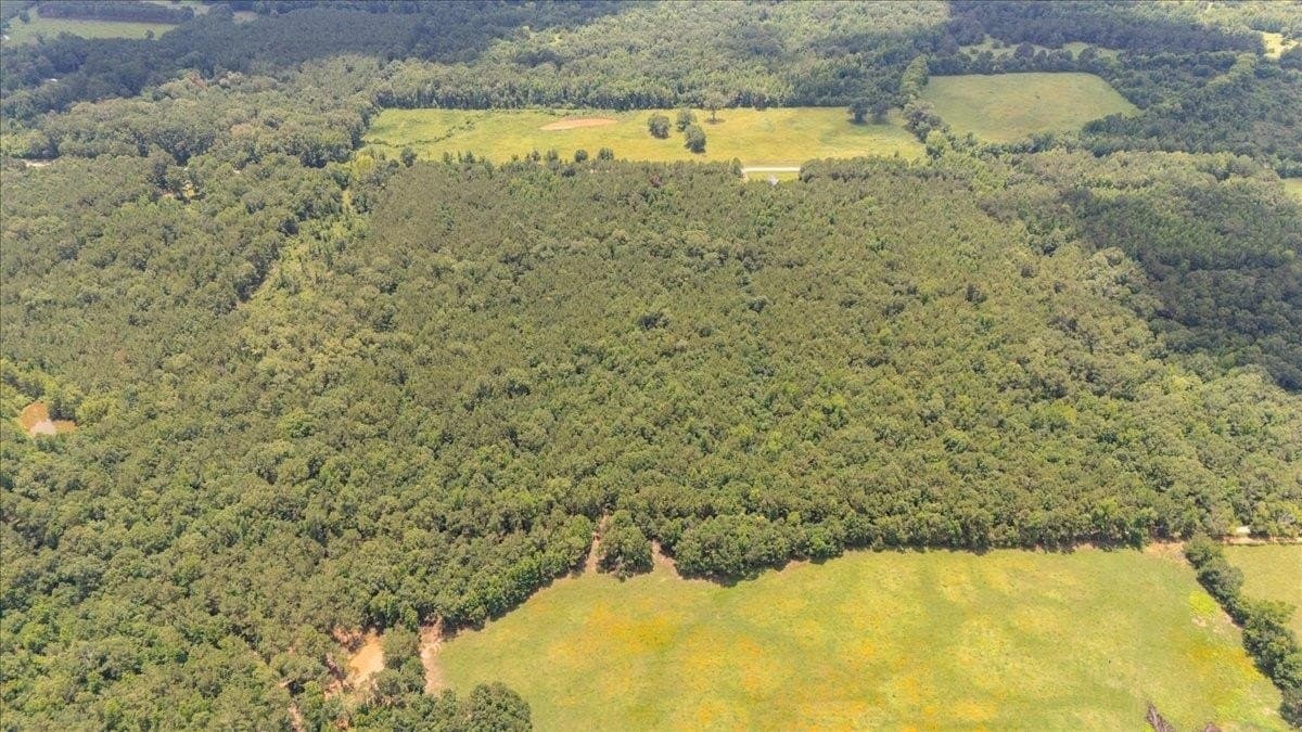 50.8 acres in Rusk County featured view