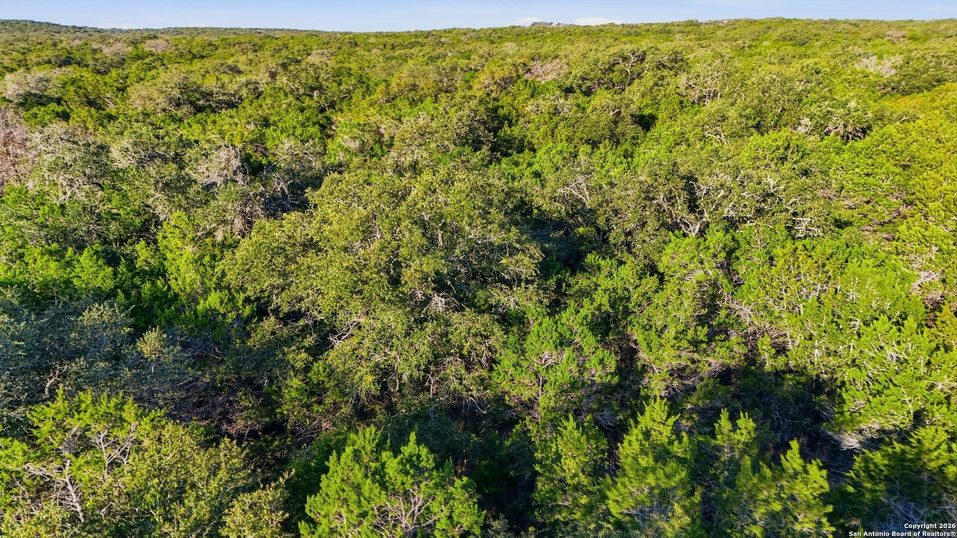 1.34 acres in Comal County - photo 20