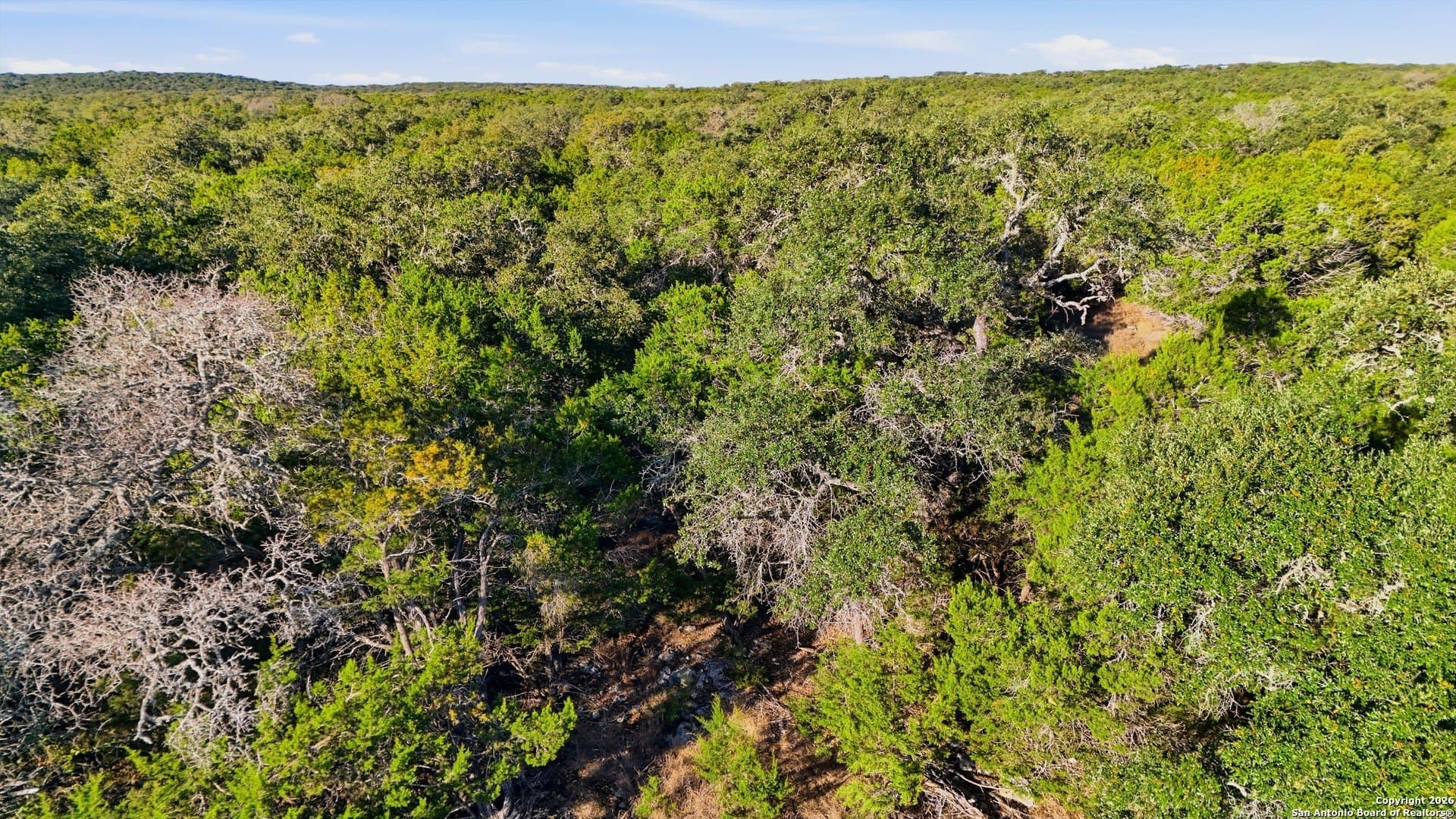 1.34 acres in Comal County - photo 21