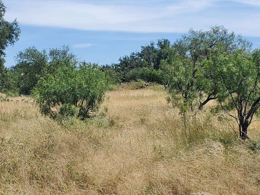 15 acres in Menard County - photo 11