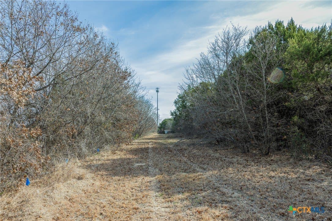 2 acres in Bell County - photo 12