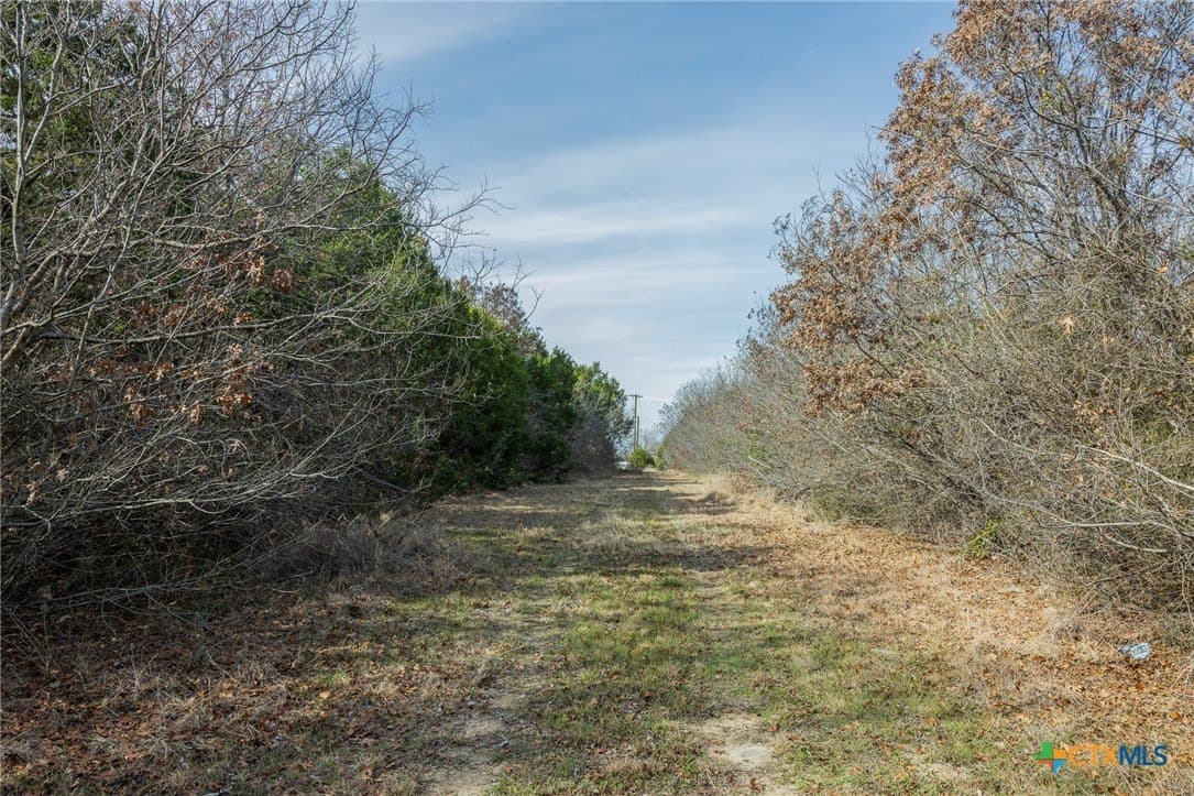 2 acres in Bell County - photo 13