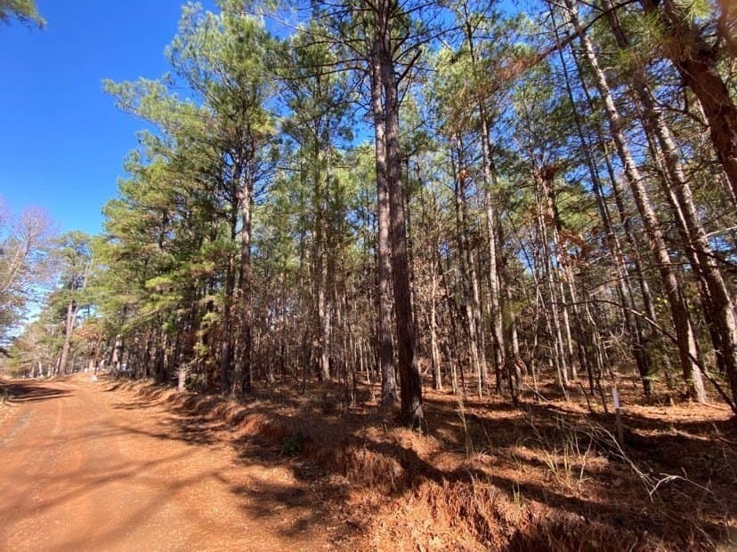 3 acres in Texas County gallery image 3