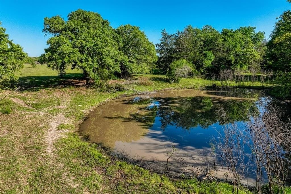 12.14 acres in Burleson County gallery image 2