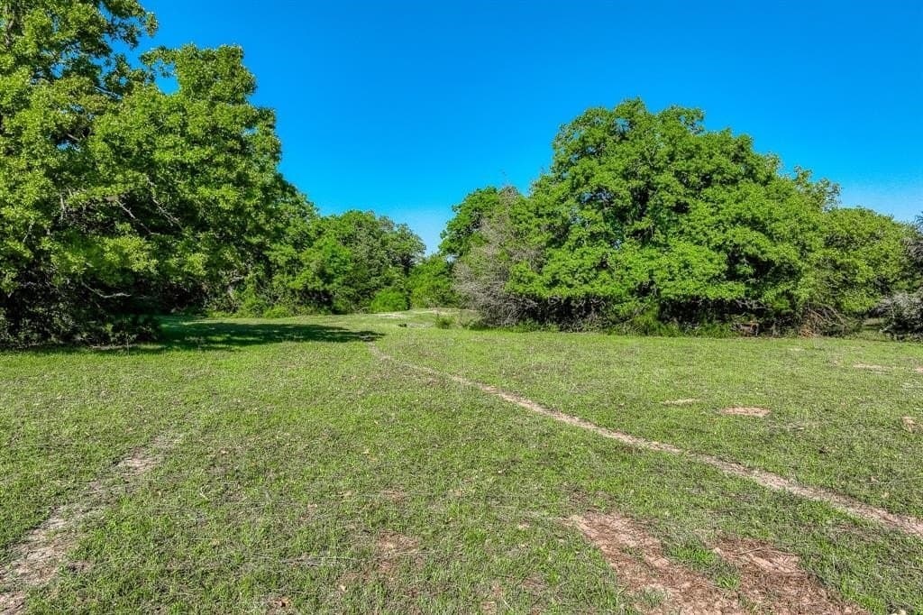 12.14 acres in Burleson County gallery image 3