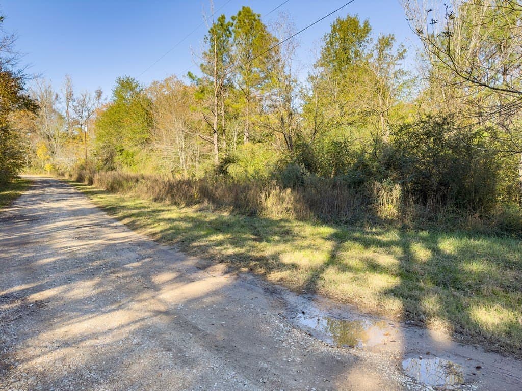 0.3 acres in Texas County gallery image 4