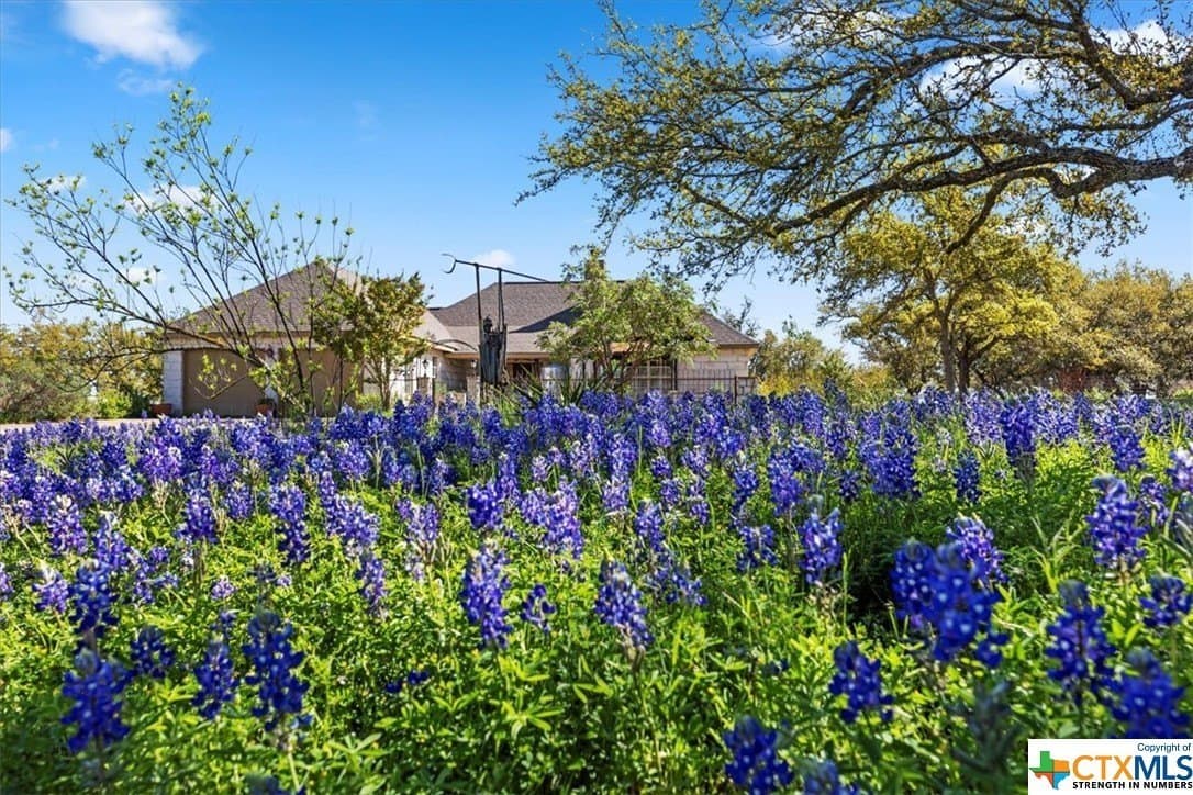 15 acres in Blanco County gallery image 2