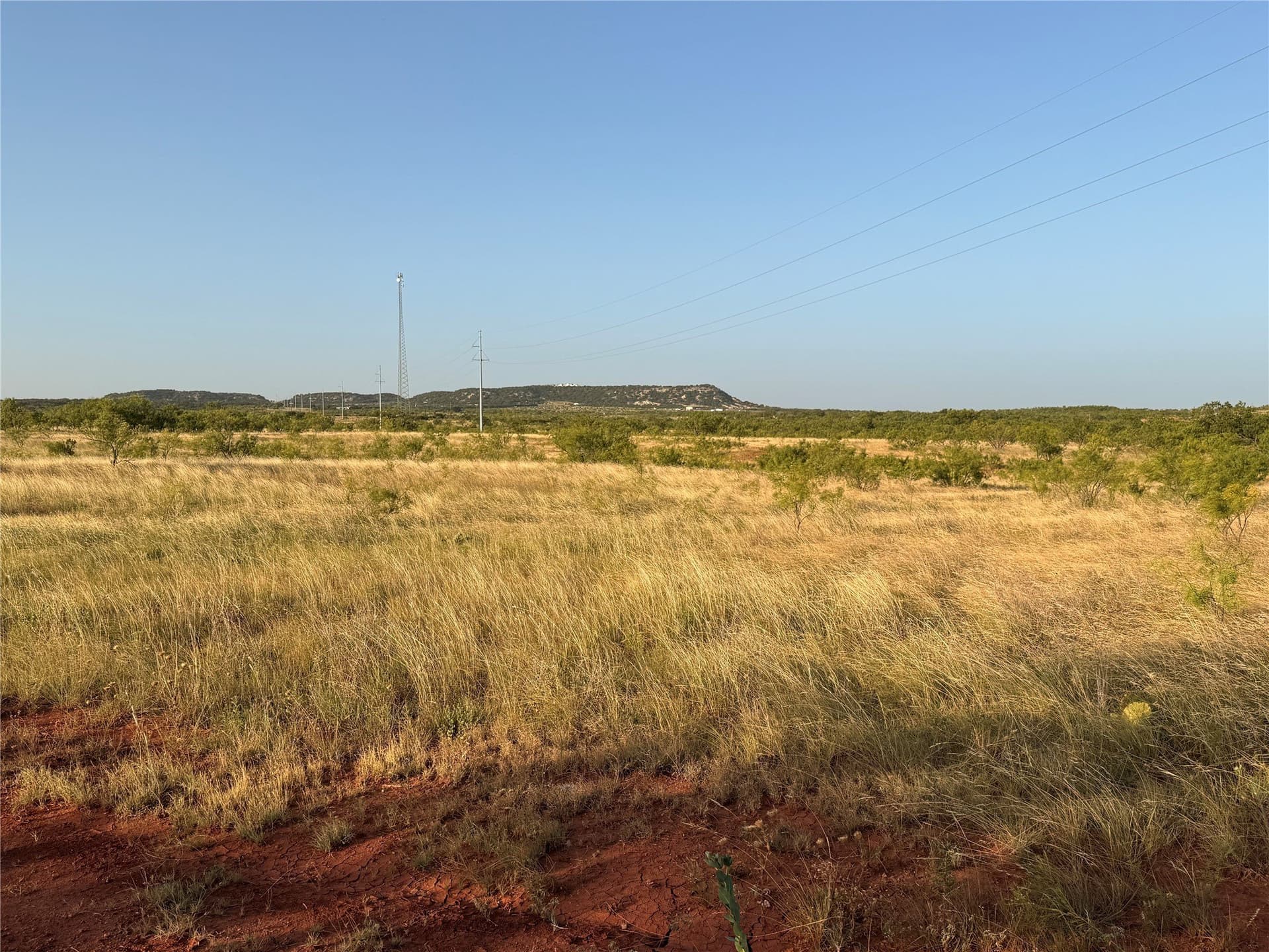 33 acres in Taylor County - photo 4