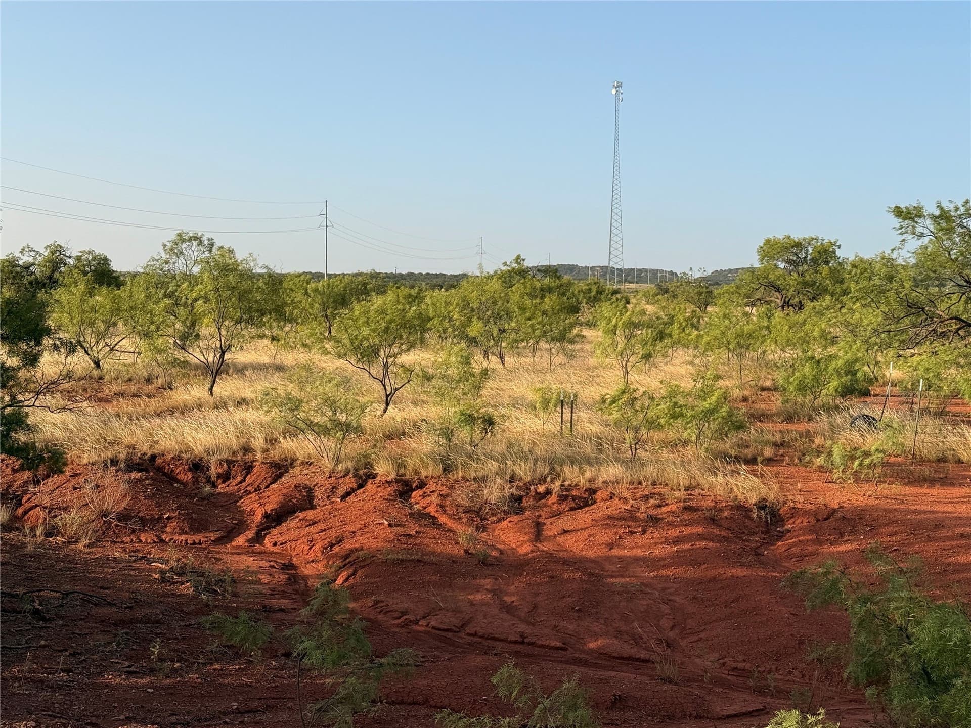 33 acres in Taylor County - photo 10