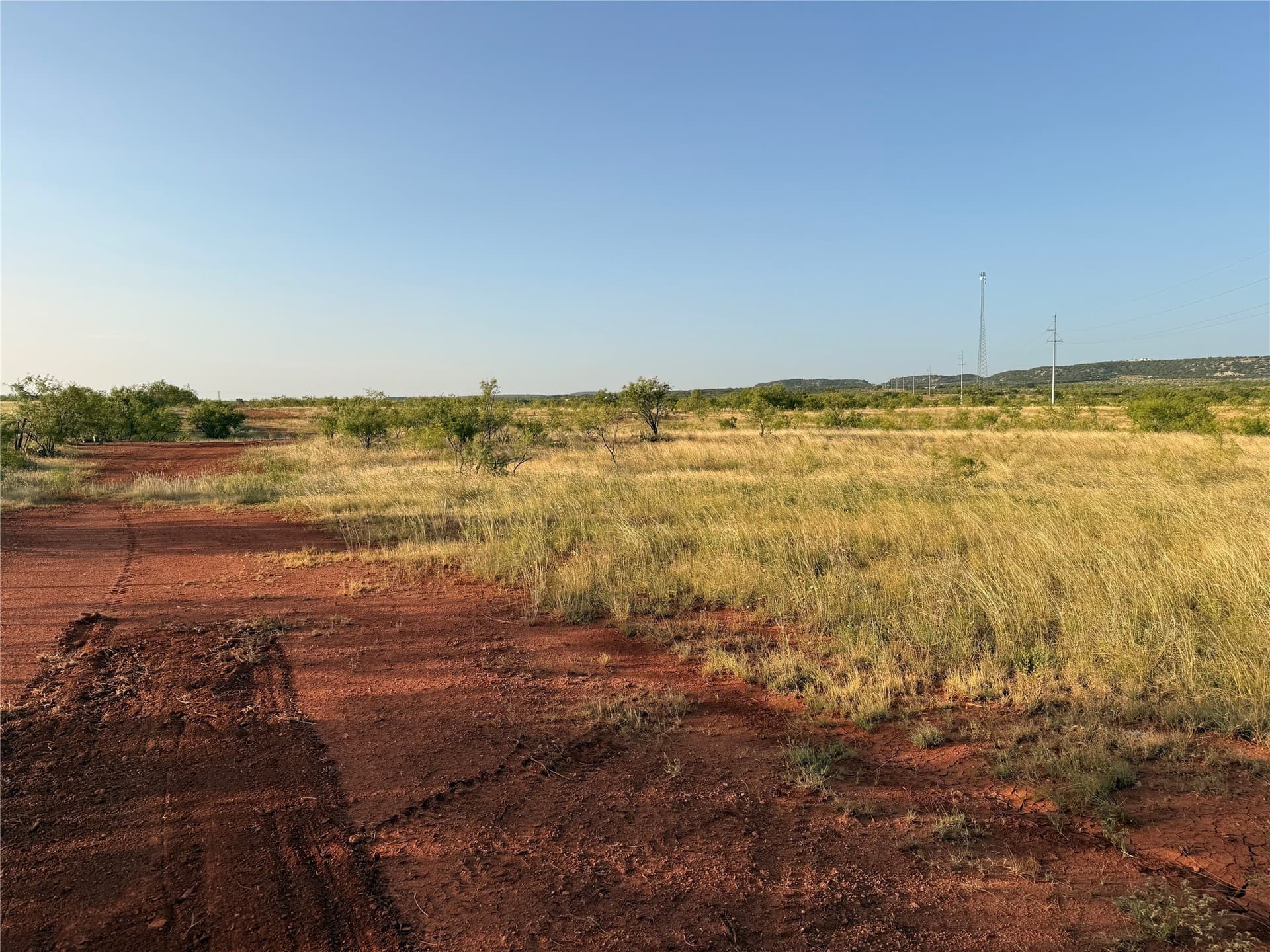 33 acres in Taylor County - photo 5
