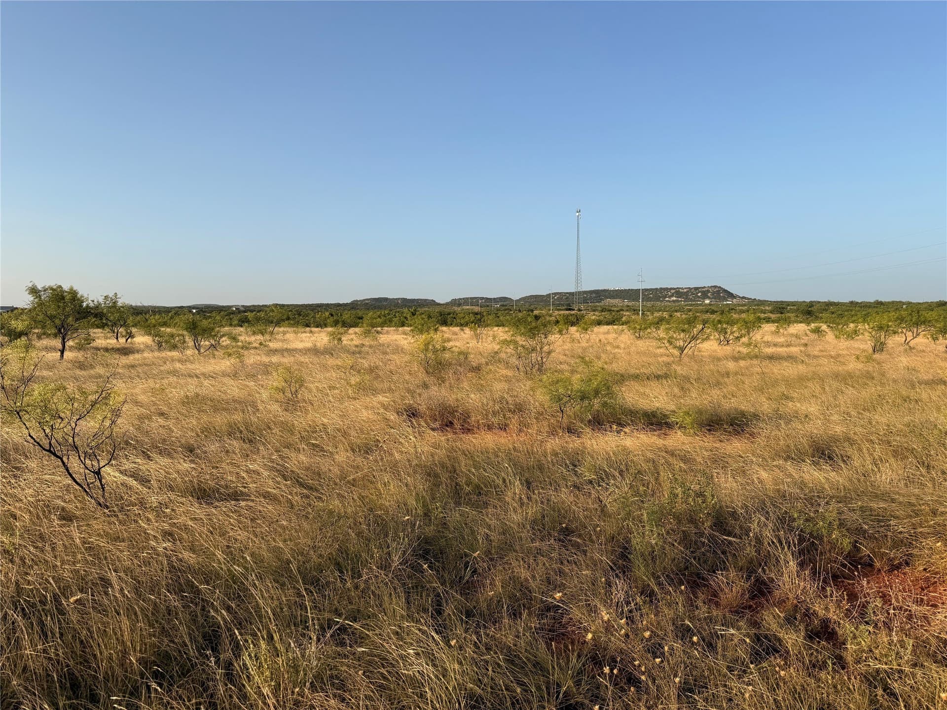 33 acres in Taylor County - photo 7