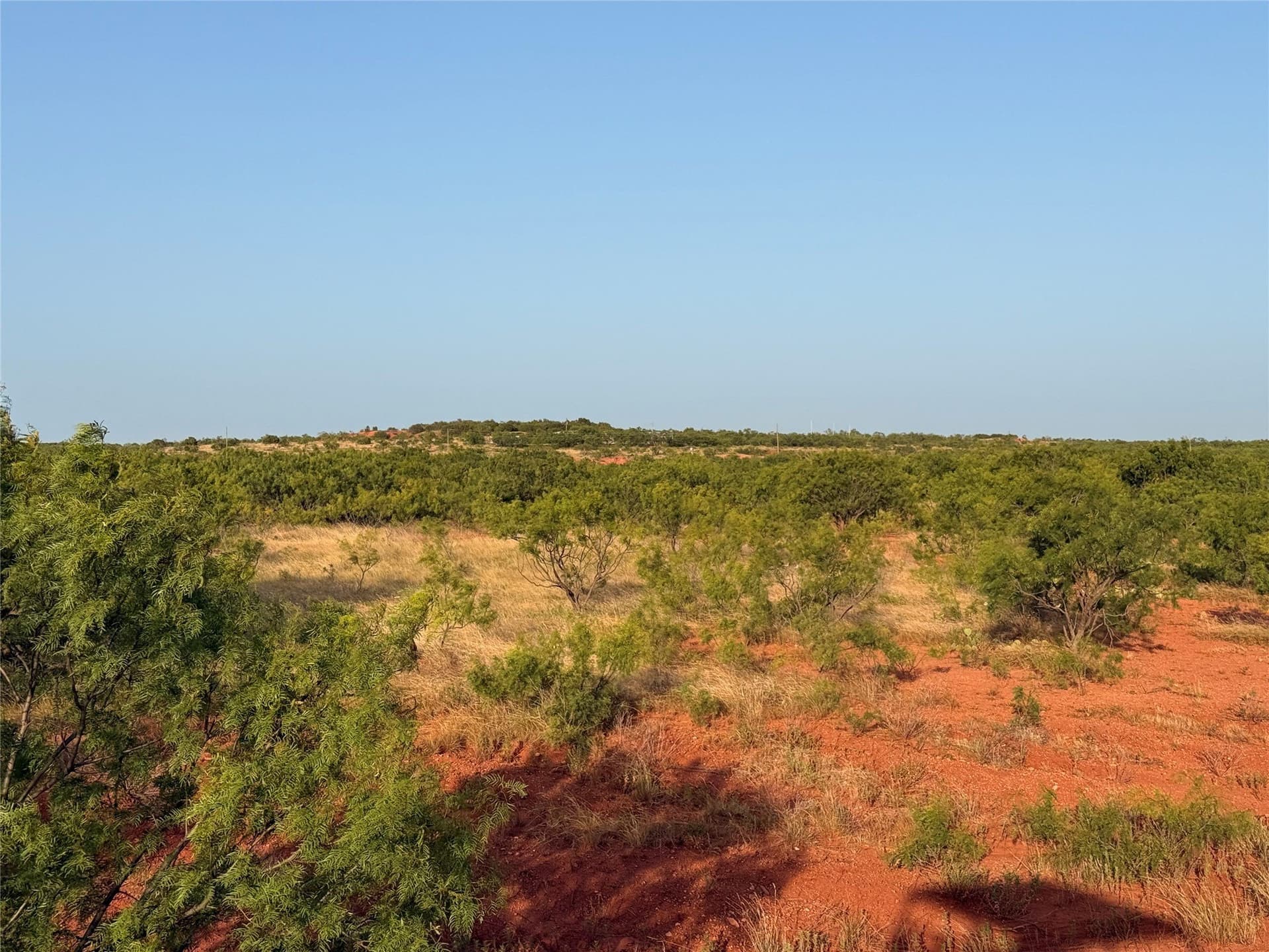 33 acres in Taylor County - photo 2