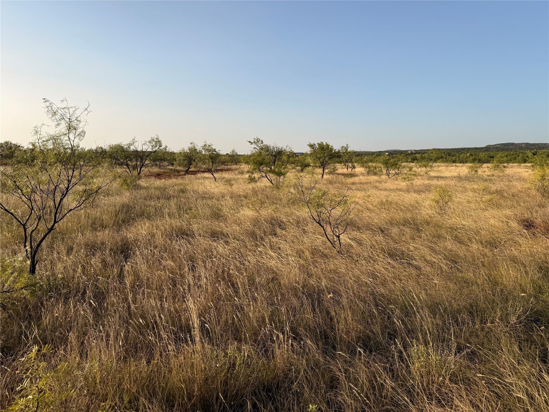 33 acres in Taylor County - photo 6