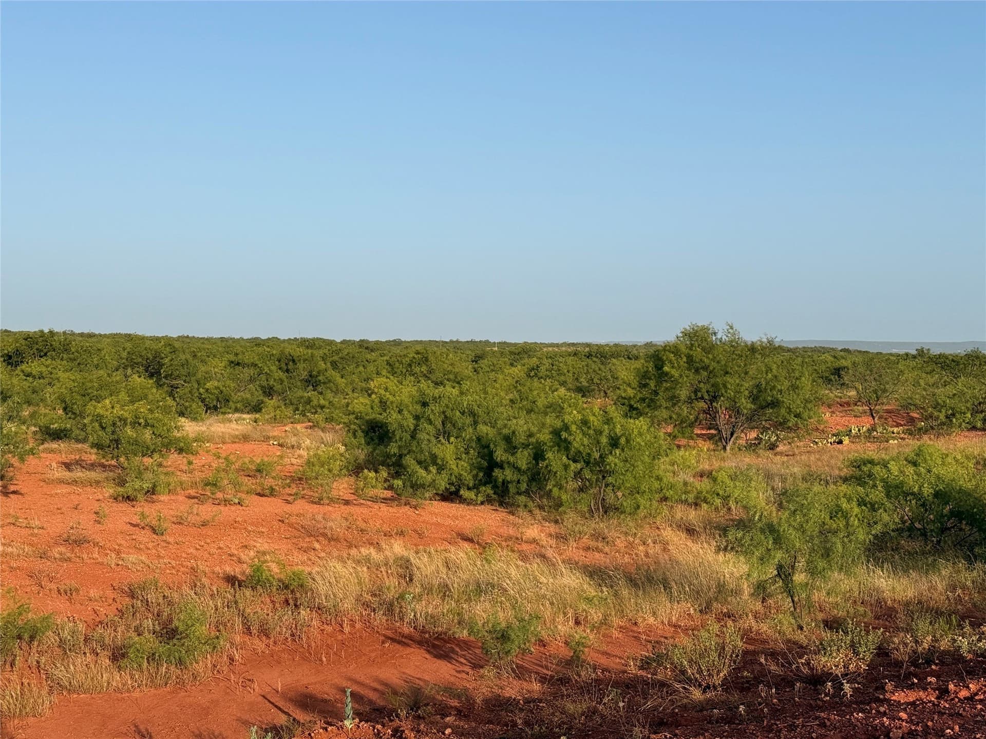 33 acres in Taylor County - photo 9